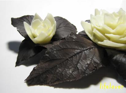 巧克力 幸福之花 巧克力 幸福之花