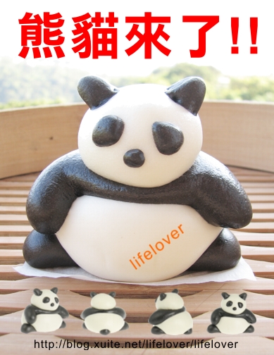 熊貓 熊貓