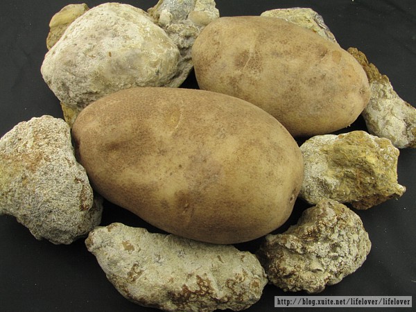 獨一無二的馬鈴薯~ 獨一無二的馬鈴薯~