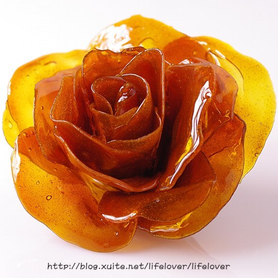 焦糖玫瑰花 焦糖玫瑰花