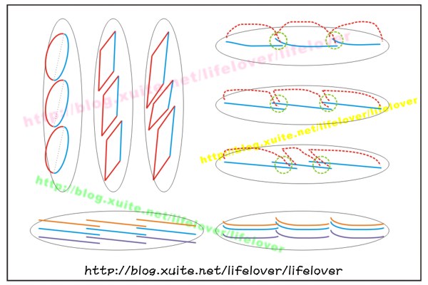 法國麵包割線與裂口 法國麵包割線與裂口