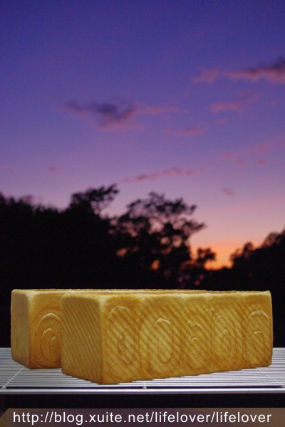 吐司配方試做: 白吐司2種 + 山形葡萄吐司 吐司配方試做: 白吐司2種 + 山形葡萄吐司