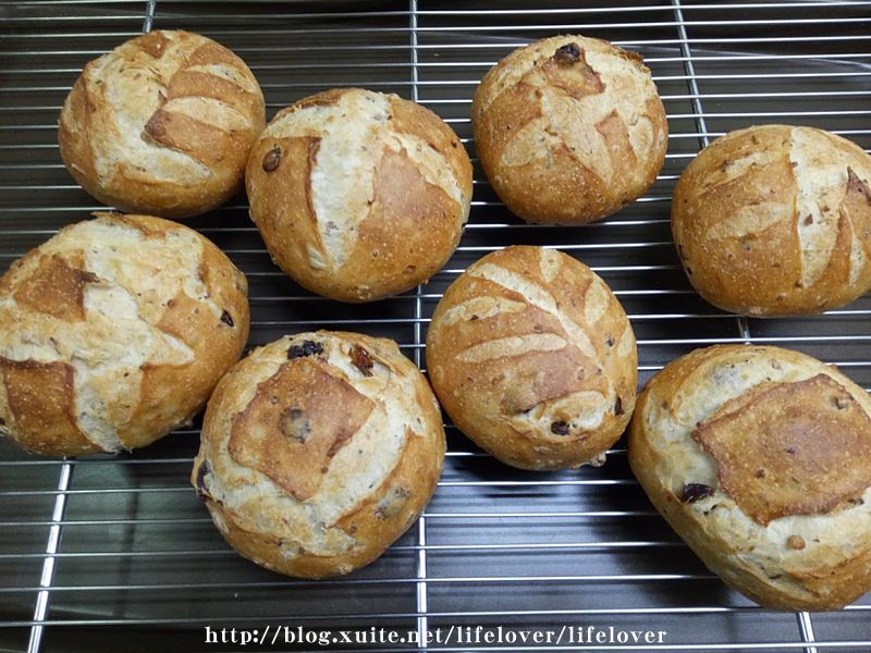 十穀米葡萄麵包 十穀米葡萄麵包