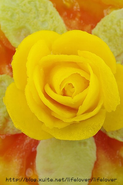 蛋皮玫瑰花