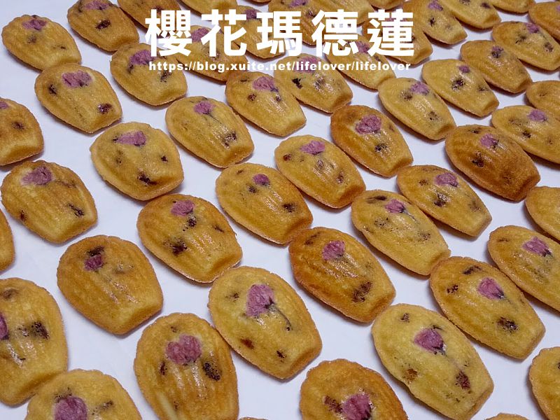 櫻花瑪德蓮