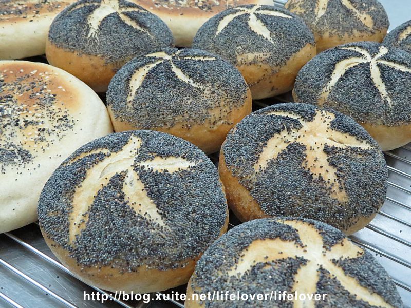 罌粟籽麵包 poppy seed bread 及 三明治