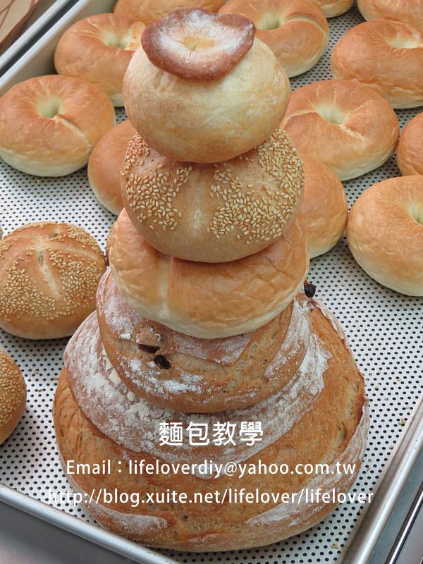 法國麵包教學 歐式麵包教學 貝果教學 吐司教學  20150912